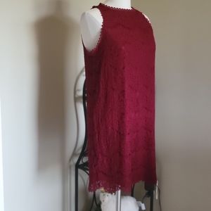 Monteau Lace Straight Cut Sheath Dress